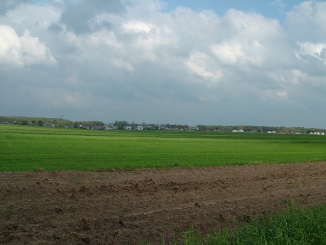 Panorama wsi od strony drogi s-17